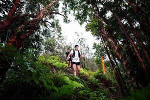 BIB: 
                            <button type="button" onclick="openModal(26202580)" class="btn btn-primary btn-sm float-right btn-popup" data-toggle="modal" data-target=".modal-high-quality">
                        <i class="fas fa-shopping-cart"></i> Add to Cart
                    </button>
                                            <button type="button" onclick="isThisMe(26202580, true)" class="btn btn-success btn-sm float-right btn-popup btn-isme hidden" data-toggle="tooltip" data-placement="bottom" title="นี่คือรูปของคุณใช่ไหม คลิกที่นี่เพื่อเอาเข้าอัลบั้ม">
                        <i class="fas fa-plus"></i> Add to album
                    </button>
                    <button type="button" onclick="isThisMe(26202580, false)" class="btn btn-warning btn-sm float-right btn-popup btn-isnotme hidden">
                        <i class="fas fa-ban"></i> Remove from album
                    </button>